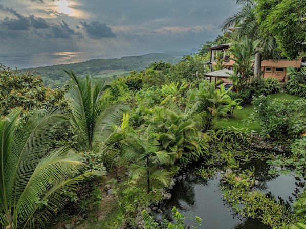 Property grounds - Playa Guapil near Dominical 25 Acre Estate - Amazing Ocean Views & Wildlife!! (Dominical)