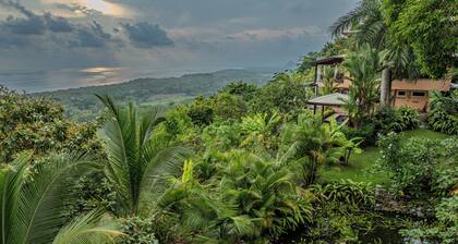 Playa Guapil near Dominical 25 Acre Estate - Amazing Ocean Views & Wildlife!!