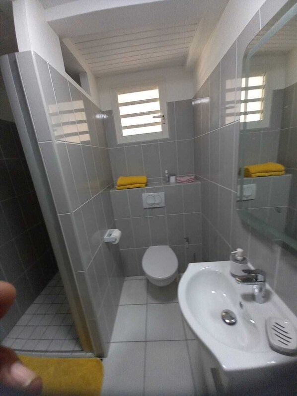 Een kleine, praktische badkamer met toilet, wastafel en spiegel. Er is een raam dat voor daglicht zorgt, en de muren zijn bekleed met lichte tegels.