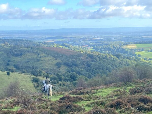 A person riding a horse on a grassy hill with a view of a valley and distant fields.