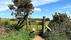 Une barrière en bois avec un banc, installée dans un champ herbeux parsemé de fleurs sauvages.