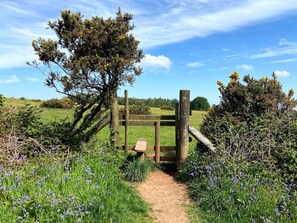 Property grounds - Stay in the AONB with Own Hot Tub, Dogs Welcome (Somerset)