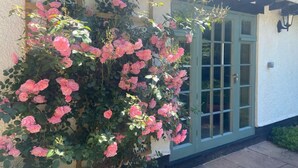 Un bâtiment avec une porte verte et un jardin où poussent des fleurs roses.
