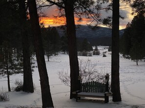 Property grounds - Mountain Escape: Ski and Ride in the Winter - Fish and Golf in the Summer (Angel Fire)