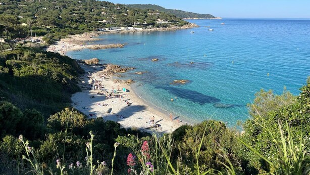 Una playa costera con aguas cristalinas, orillas arenosas y abundante vegetación.