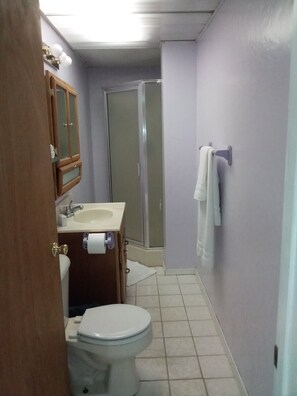 Shower, hair dryer, towels, soap - Forest Get Away! Surrounded by National Forest. Beautiful home in the woods.  (Mena)