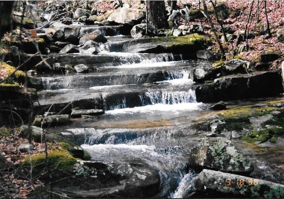 A multi-tiered waterfall in a forested area with rocks and moss.