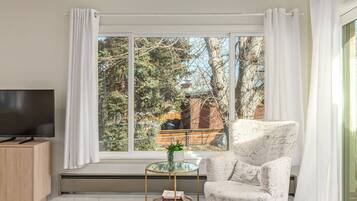 Smart TV, chimenea y libros