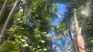 Unclassified image, 2 of 37, button - LYJ HOTEL  38 (Playa del Carmen)