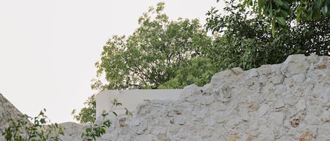 Maison | Terrasse/patio