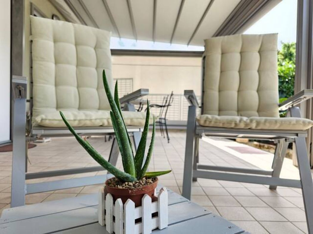 Un espace extérieur abrité, aménagé avec des chaises rembourrées et un pot contenant une plante d’aloe vera.