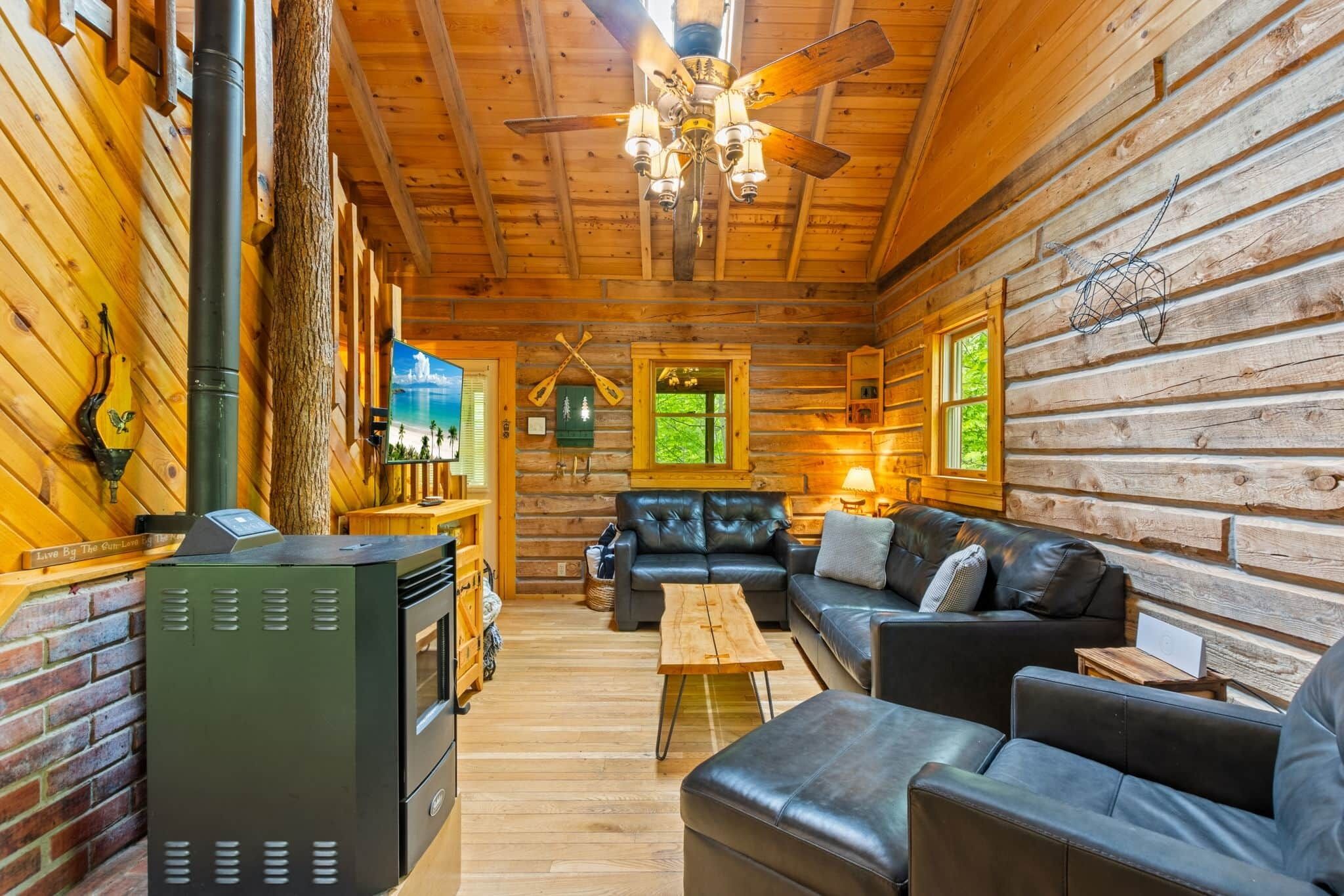 Télévision, cheminée, chaîne hi-fi