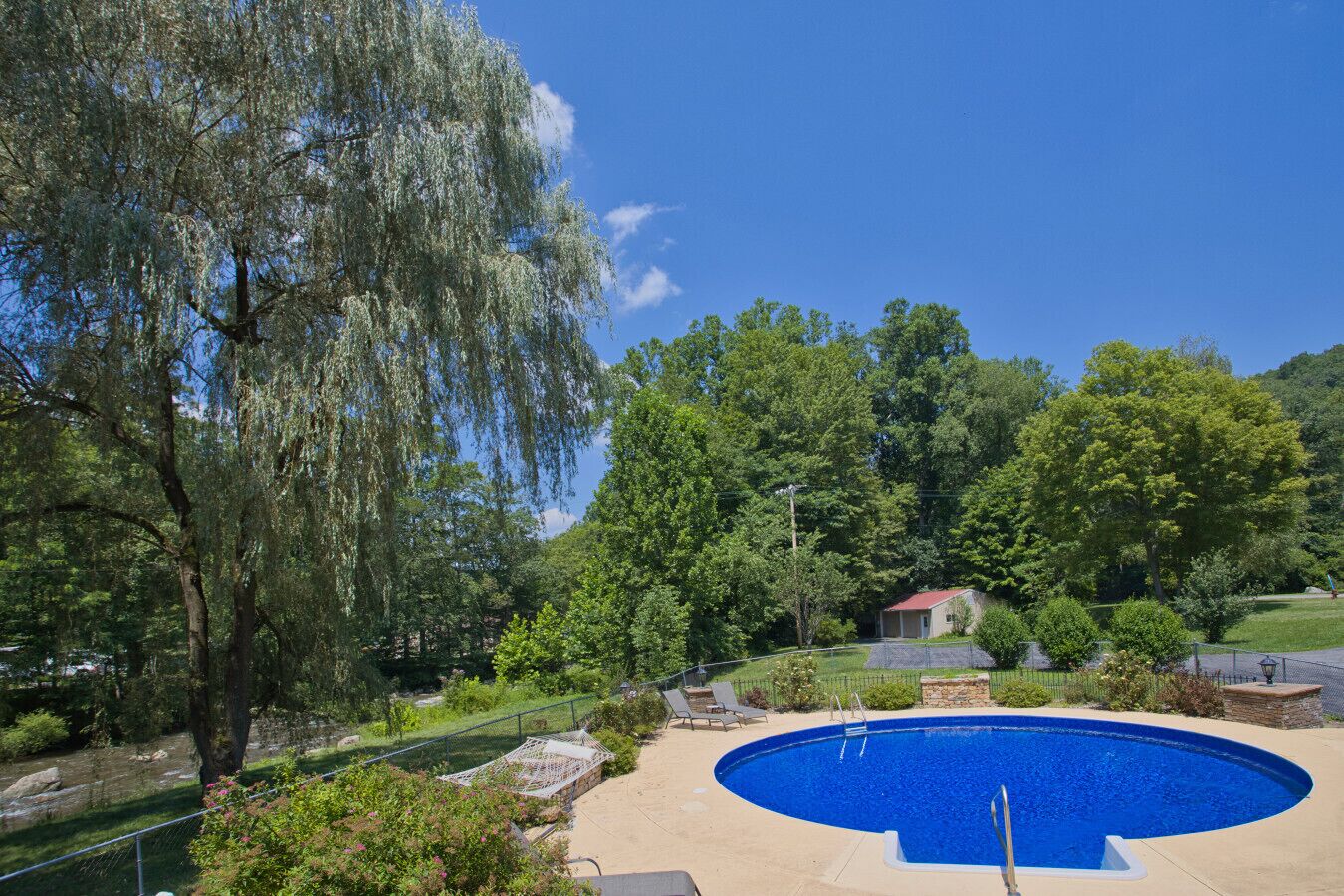 A swimming pool surrounded by lush greenery and trees.