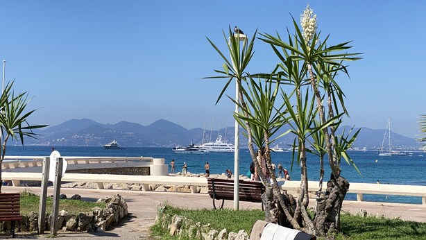 A coastal promenade with benches, palm trees, and a clear view of the sea and yachts. - Duplex in Cannes 5 min walk from the beach 5 BR (Cannes)