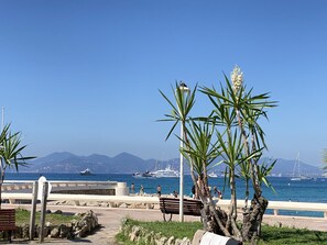 A coastal promenade with benches, palm trees, and a clear view of the sea and yachts.