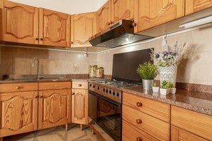 Fridge, oven, stovetop, cookware/dishes/utensils