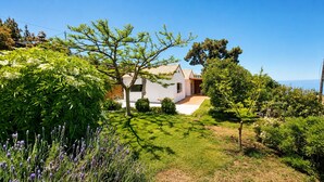 Une maison avec un jardin, un chemin menant à l’entrée et un ciel bleu dégagé.