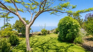 Un jardin bien entretenu, avec un grand arbre, une pelouse soigneusement taillée et une vue sur la mer.