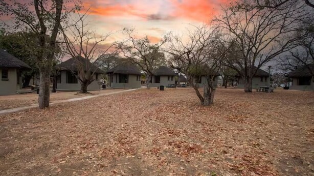 A row of simple, single-story buildings with flat roofs, surrounded by leaf-covered ground and bare trees, under a sunset sky. - Self Catering Chalets - Manyeleti (Manyeleti)