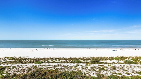 Une plage de sable blanc avec une végétation clairsemée au premier plan, un ciel bleu dégagé et des eaux océaniques calmes.