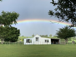 Property grounds - Cliff Top Cottage just off SH1 (Ohingaiti)