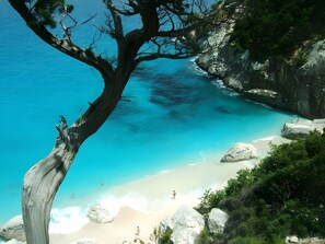 A coastal landscape with a prominent tree, clear turquoise waters, and rocky terrain.