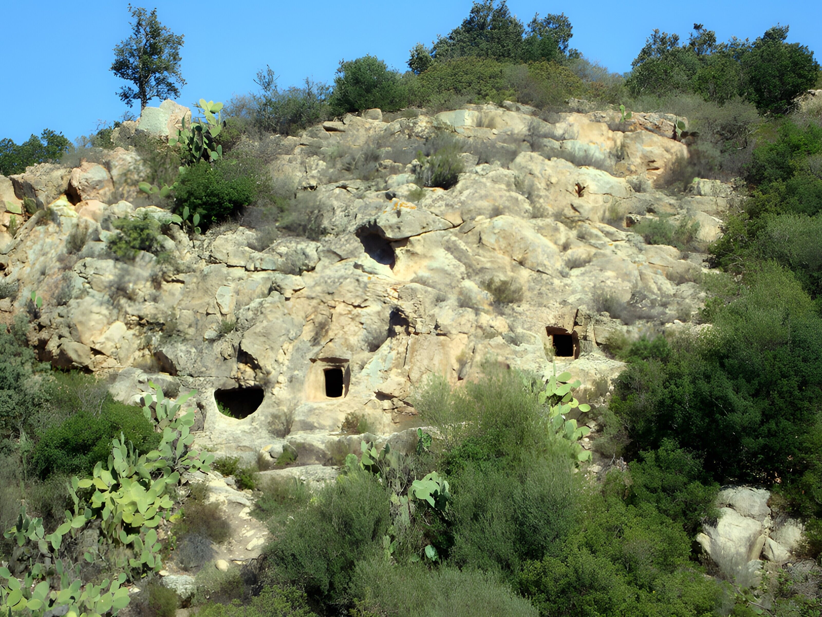 Ein felsiger Hang mit natürlichen Felsformationen und Vegetation.