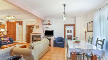 电视、壁炉、DVD 播放器