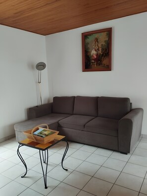 Televisión 