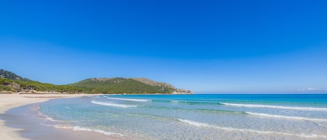 Plage à proximité