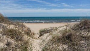 Een strand met duinen en de zee.