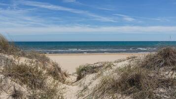 Playa en los alrededores