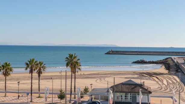 A beach view with palm trees, a pier, and a building with a sign.
