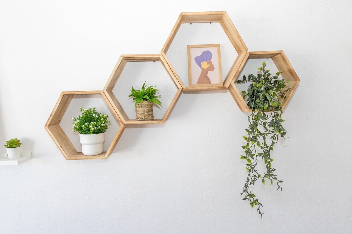Un mur orné de trois étagères hexagonales en bois, chacune supportant une petite plante et un tableau encadré.