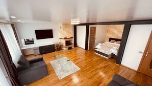 A modern living room with a sofa, a coffee table, a fireplace, and a television. - Casa Yda (Horezu)