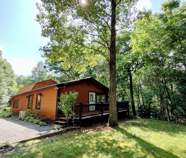 Exterior - Perfectly Imperfect Cabin, in forest near Blue Ridge. Relax and enjoy nature. (Polk County)