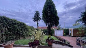 Un jardin agrémenté de plantes en pot, une terrasse carrelée et une vue sur un quartier résidentiel.