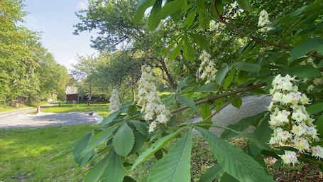 Property grounds. Perfect for Nature Lovers