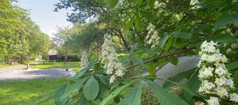 Perfect for Nature Lovers