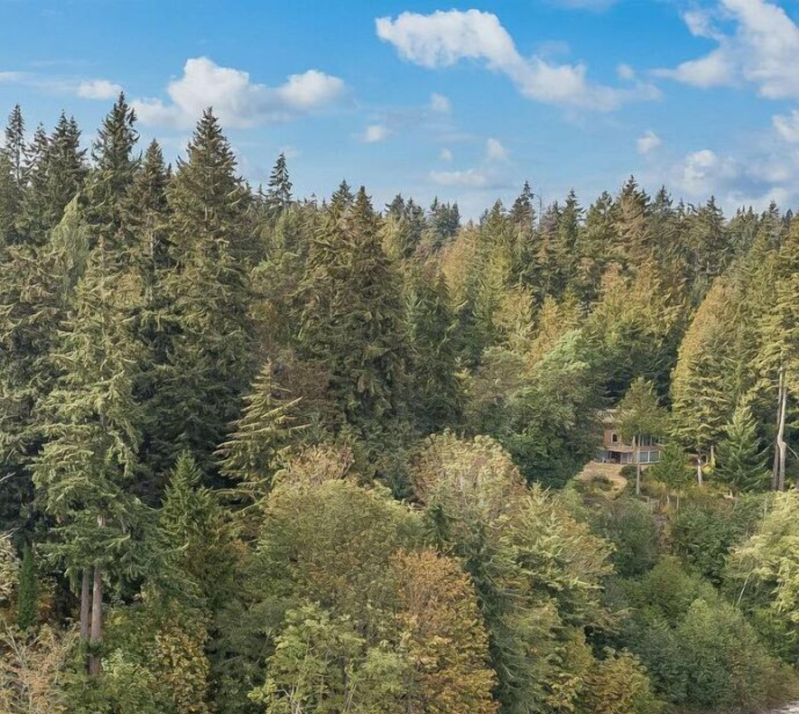 5 Acre Waterfront Compound - 5 Homes, sleeping 32!