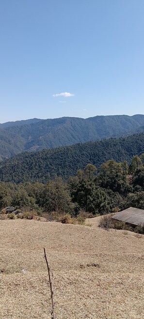 Deluxe Room, Balcony, Hill View | Terrace/patio - Shadhna Holiday Homes (Nainital)