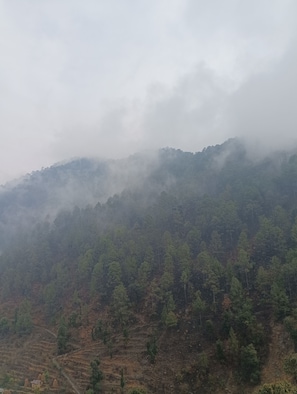 Exterior - Shadhna Holiday Homes (Nainital)