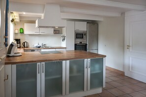 A modern kitchen with a wooden countertop, stainless steel appliances, and frosted glass cabinets.