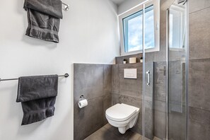 Shower, hair dryer, towels