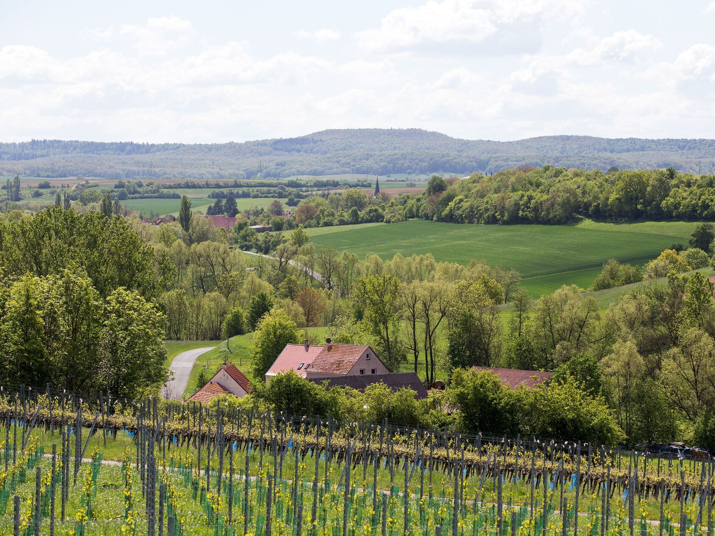 A rural landscape with fields, trees, and a few buildings.