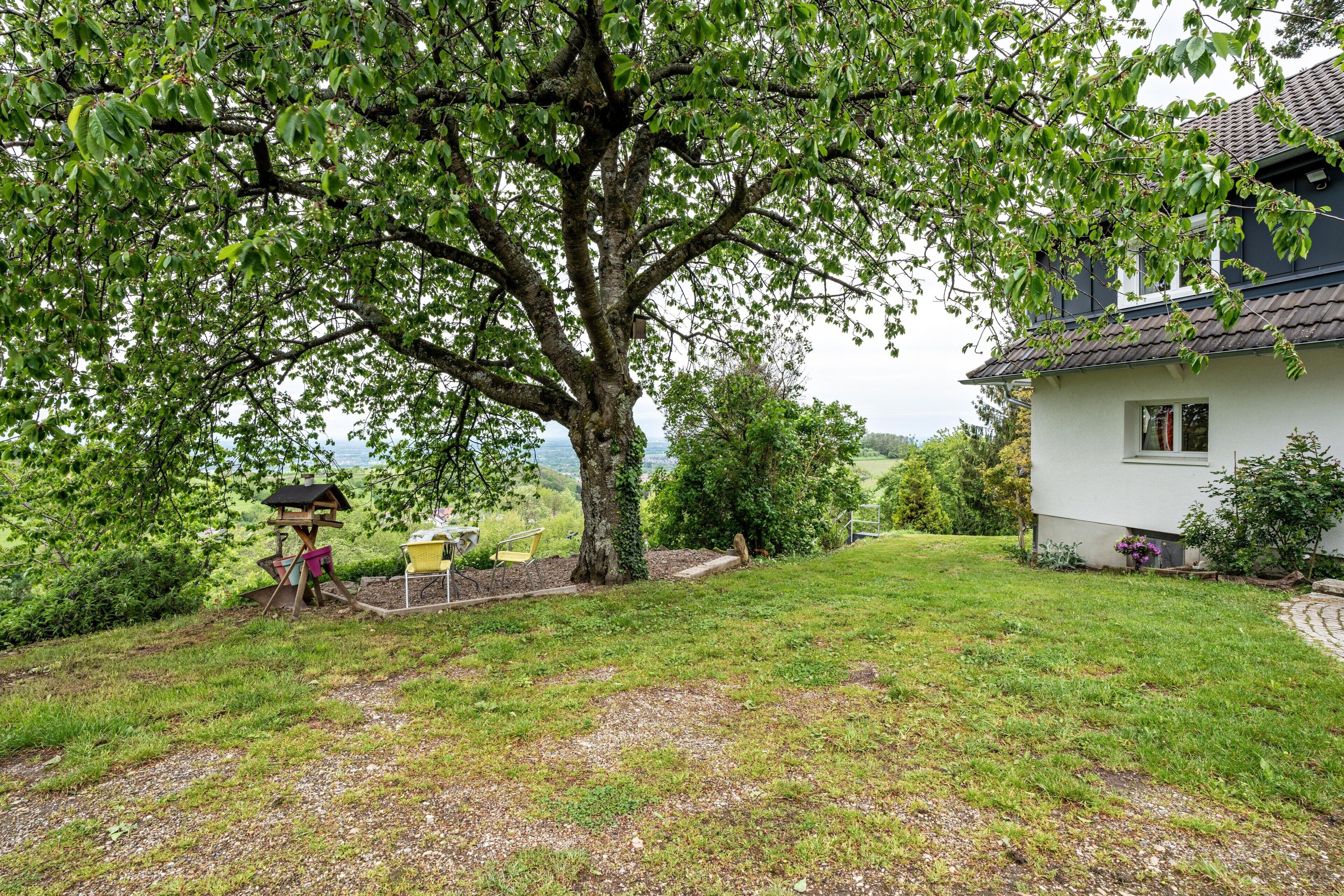 A house with a large tree in the yard, a bird feeder, and a small garden area.