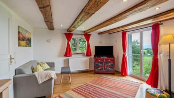 Tv, eldstad och en stereo