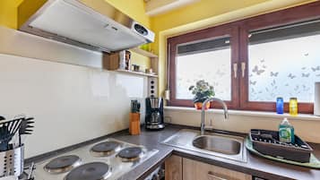Fridge, oven, stovetop, dishwasher