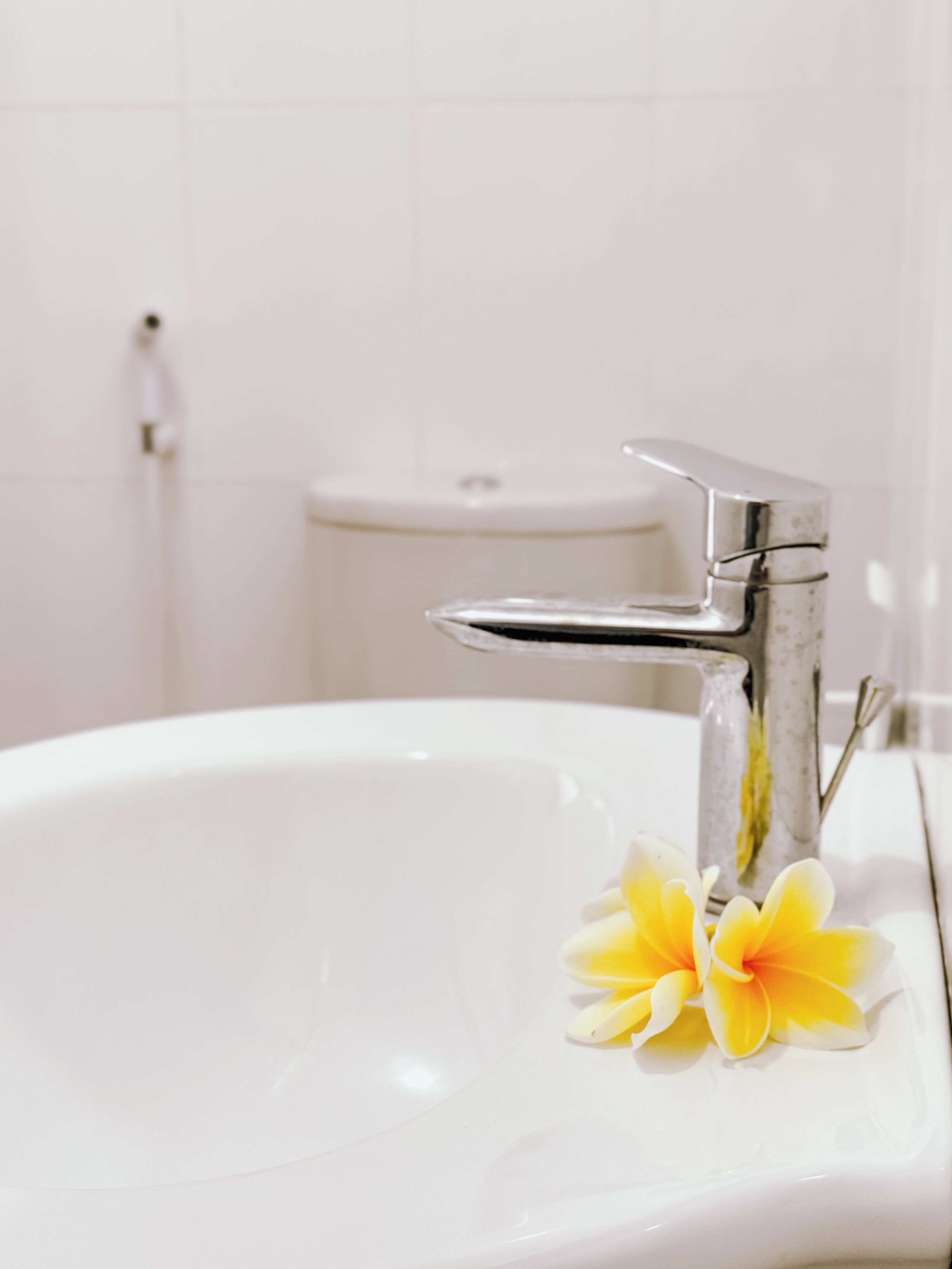 A bathroom sink with a chrome faucet and two yellow flowers on the edge.