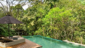 Eine Holzterrasse mit Pool, umgeben von dichtem Grün.